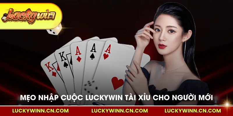 Mẹo nhập cuộc LUCKYWIN tài xỉu cho người mới